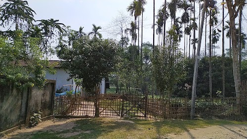 Rahul Protim Porasor