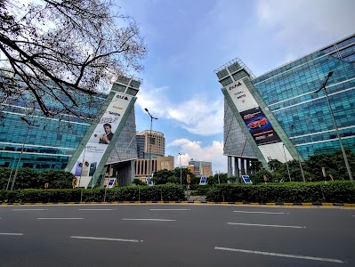 DLF