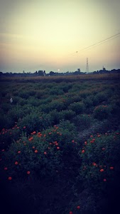 Ranibazar