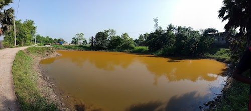 Pond