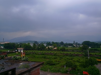 Pondha