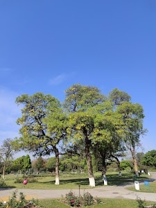 Zakir Hussain Rose Garden