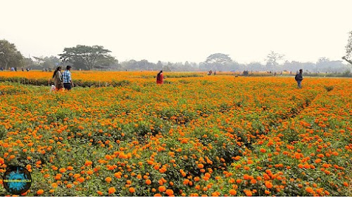 Khirai flower garden parking