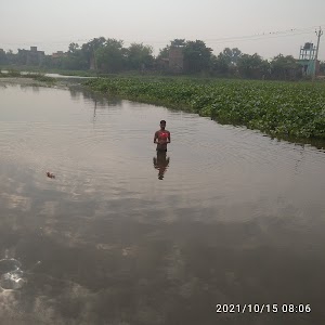 State Bank Of India Csp Mahra