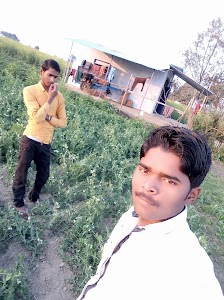 Pintu maurya