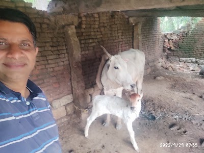 Doravari Doddi
