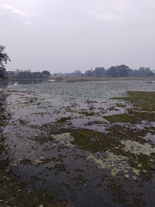 Ranikata