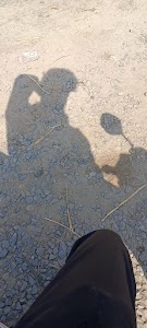 Chhoti Birauli ( छोटी बिरौली )