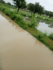 Punana ka khalda