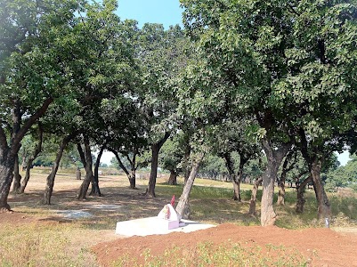 Rajiya