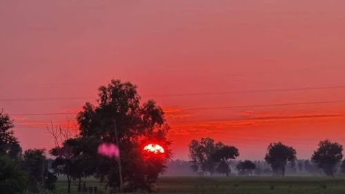 Farm Stay Pushkar