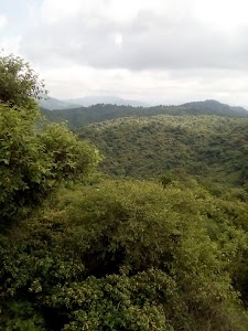 Gandhinagar, Seelampur, Shahdara