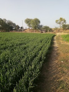 Aminpura