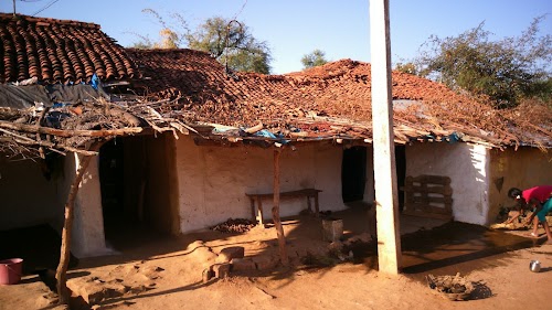 Ncsedavi