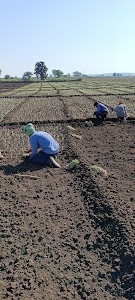 Kisan Tiyar