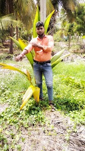 Village Dumrama