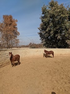 Polo Ground Gopalgarh
