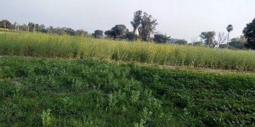Shikhvapur