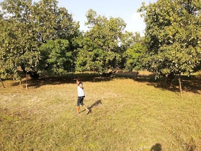Khujji