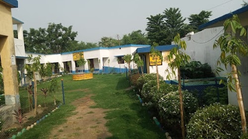 Debiganj Mnzd Primary School