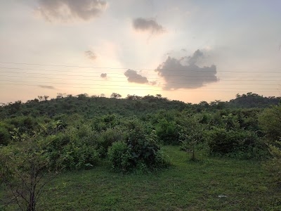 Karmatand