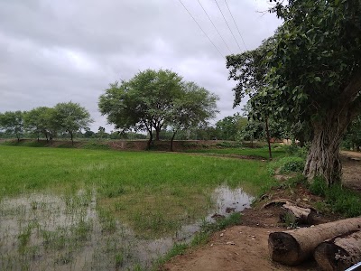 Sambalpuri