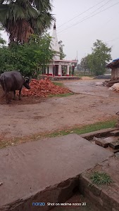Arari