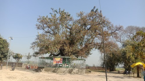 JHARKHADI MAHADEV , SHANICHARA BABA