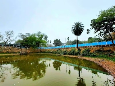 Bholahat Upazila