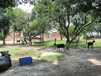 Nainsukh kheda