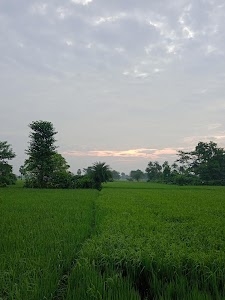 Giddha Fulwariya