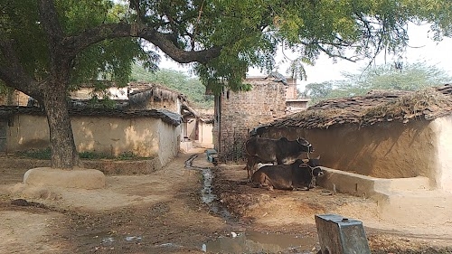 Gadaria