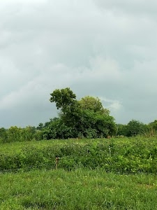 Raipur
