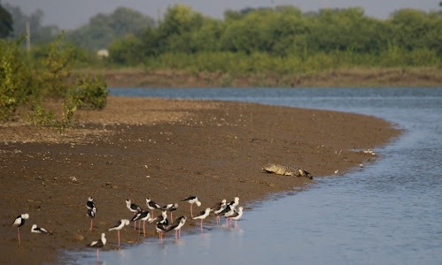 Dangamala