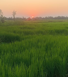 Mathurapur