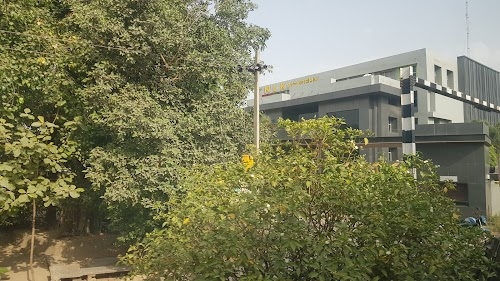 Nlk Academy