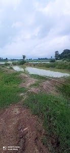 Glorgens Farm