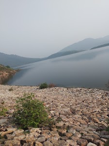 Naugain