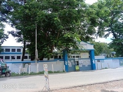 Bithari K P School