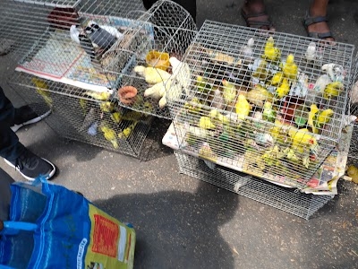 GALIF STREET ANIMAL & PLANT PARK