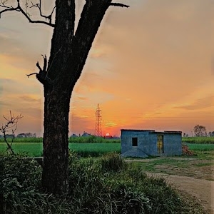 Sabhachandpur mohan urf makhwada