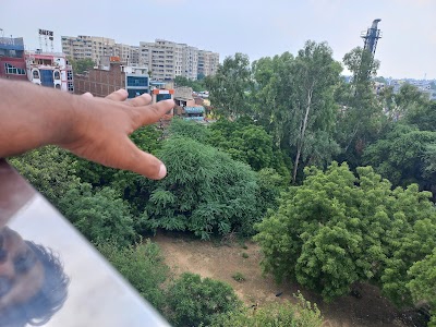 Dundahera Village, Sector 20