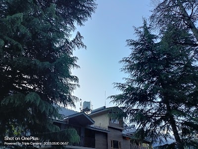 Manali hotels