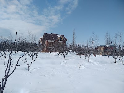 Pajwal Pora