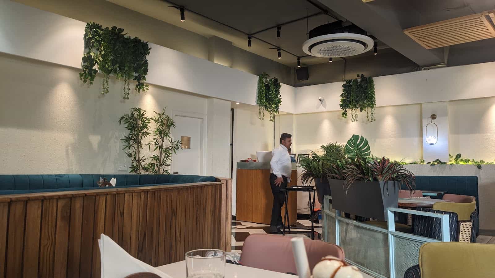 BLU OLIVE RESTAURANT GREATER KAILASH JAMMU