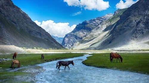 Epoch Paratrip Travel Agency