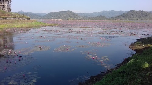 Kokrajhar district