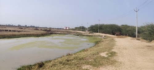 Haldeena