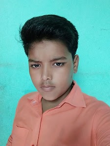 Modern Public School, Chhapia, Panchayat