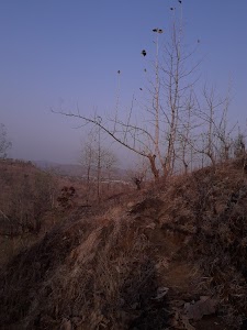 रंग मंच